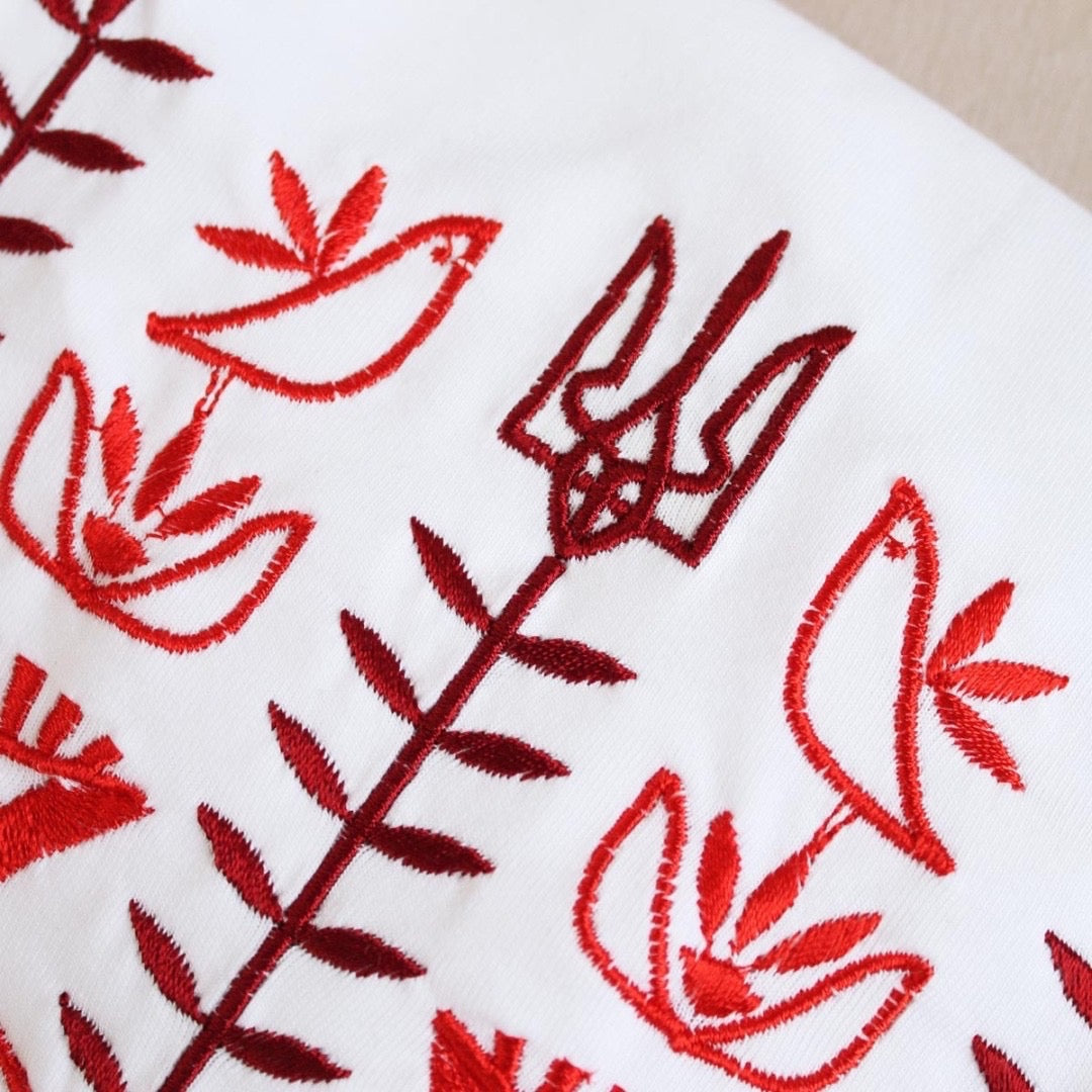 Kids Embroidered T-Shirt “Volya”