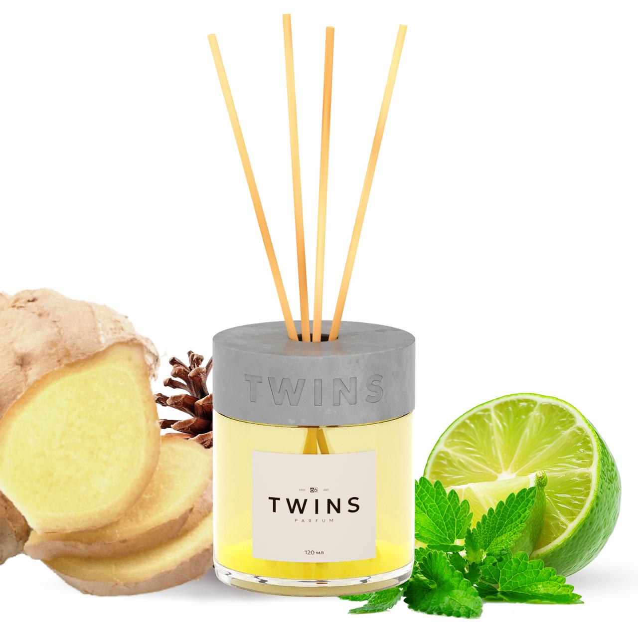 TWINS Spicy Ginger Magic Home Diffuser – Warm, Festive & Irresistibly Cozy | 120 ml