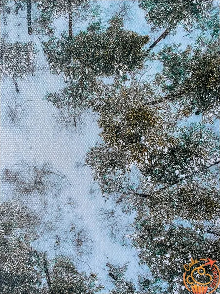 Canvas "Seasons winter" 20x20
